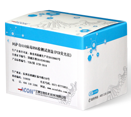 柯萨奇A16病毒RNA检测试剂盒（PCR荧光法）_凯发K8国际生物技术（杭州）有限公司.png