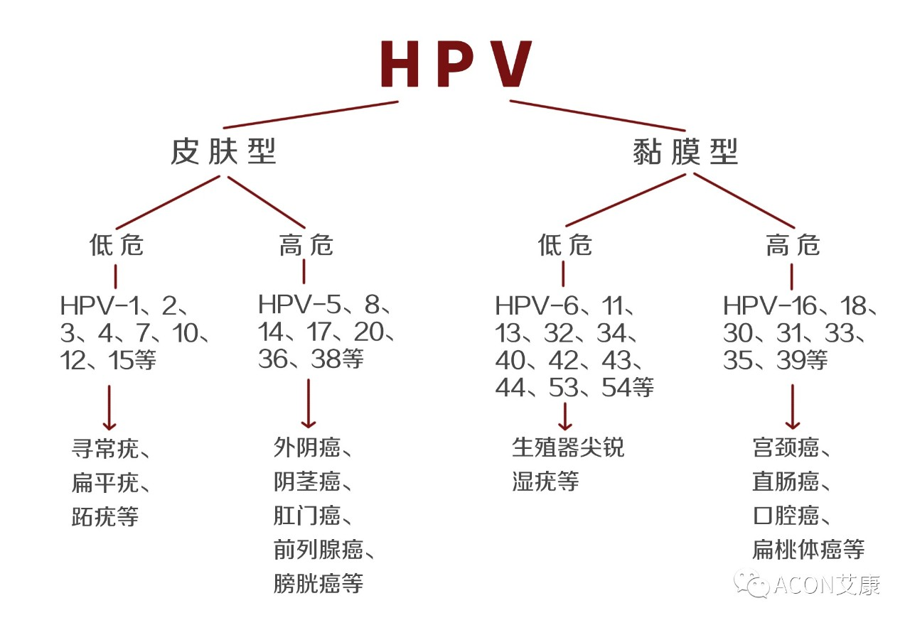 HPV疫苗有必要打吗？二价、四价、九价要如何选择！